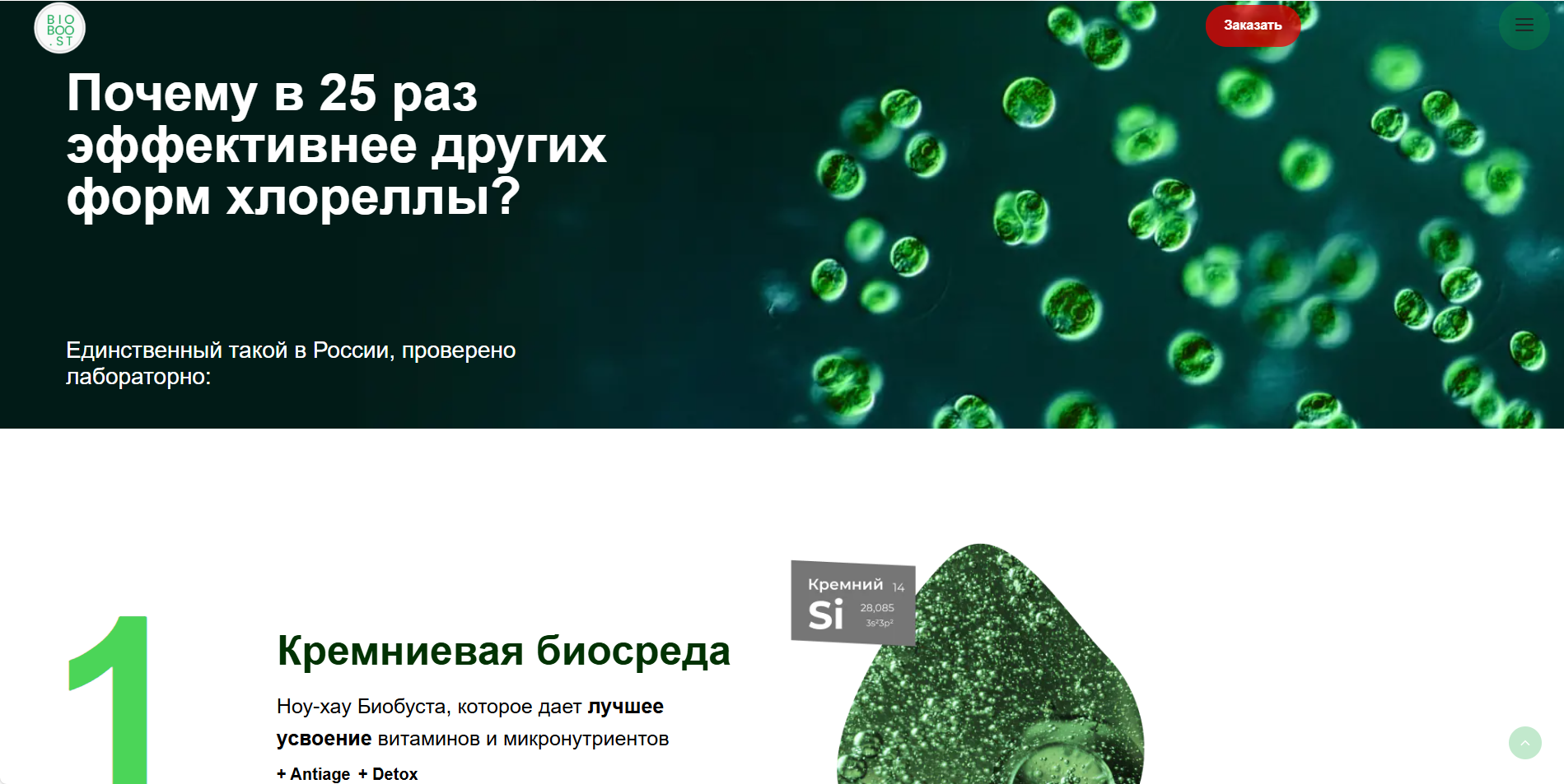 Корзина
